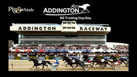 addington cup day 2022.